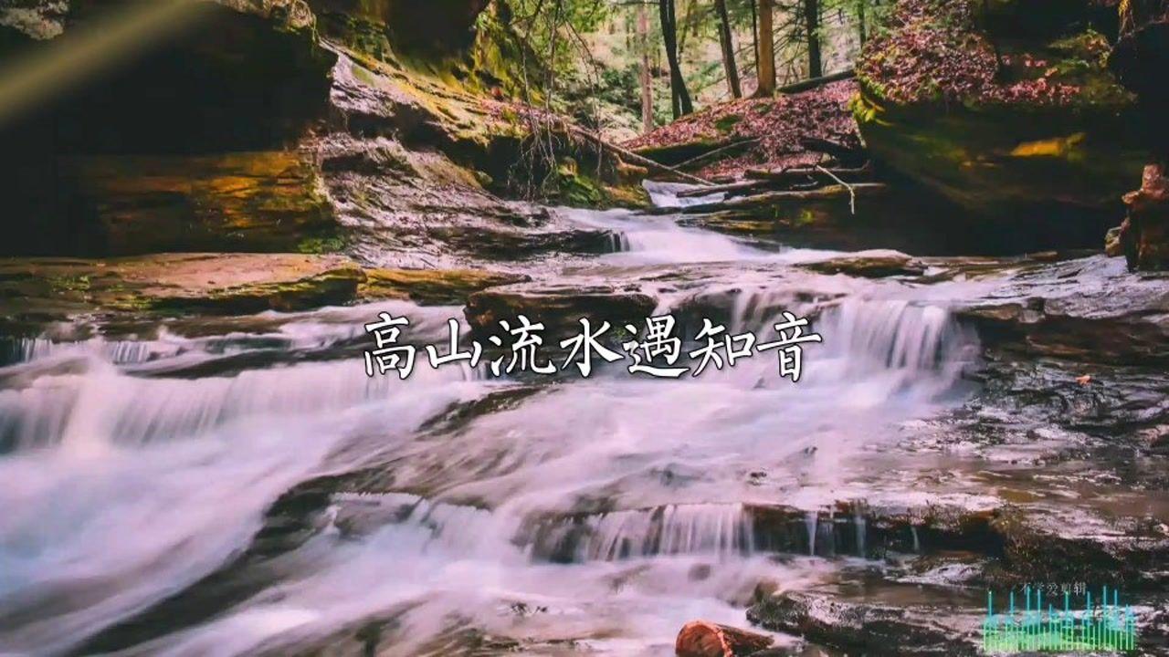 黄鸟逃生
